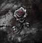 Preview: Rose Tattoo - großes Panel - French Terry VORBESTELLUNG